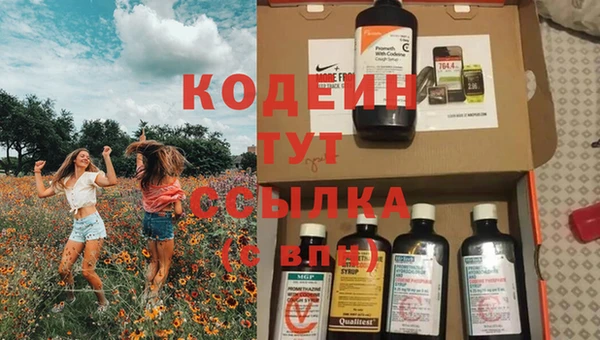 соль ск Сосновка