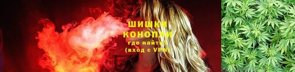 соль ск Сосновка