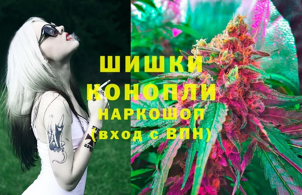 МДПВ Богородск