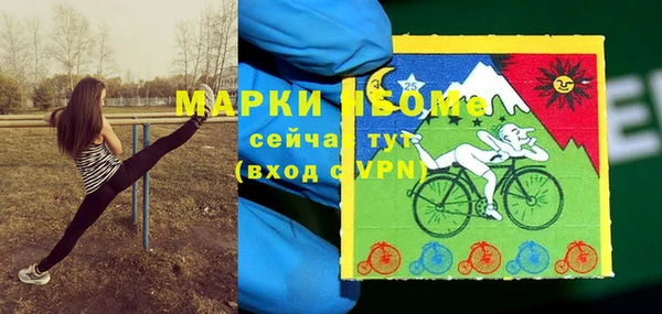 шишки Сосновоборск