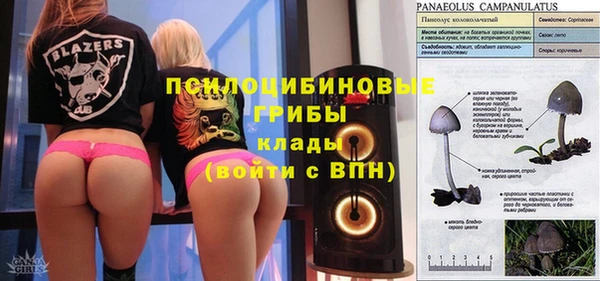 шишки Сосновоборск