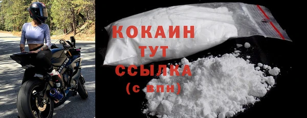 соль ск Сосновка