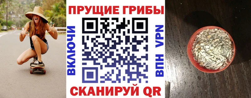 Псилоцибиновые грибы Psilocybe  дарнет шоп  Тула 